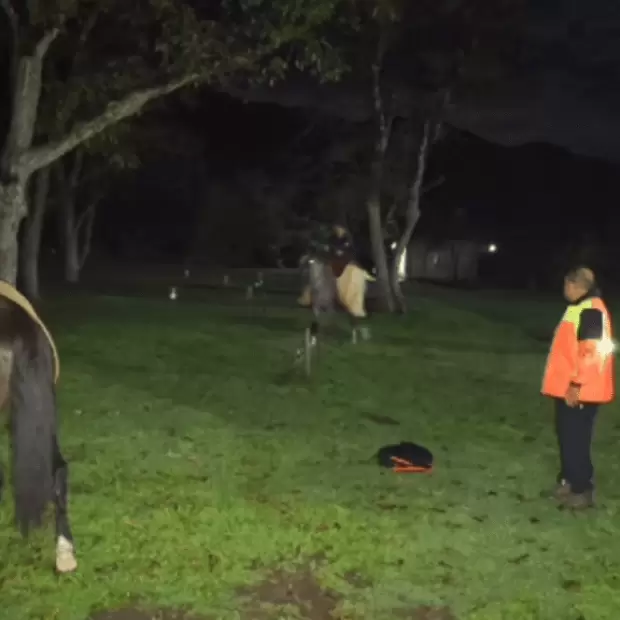 Hallaron sano y salvo a un hombre de 76 a�os que estaba extraviado en la zona serrana de El Tala