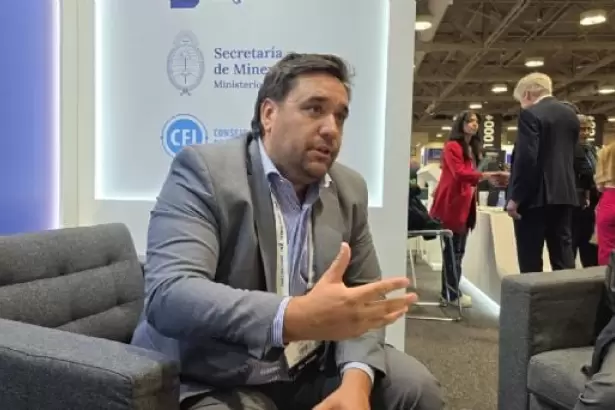 El gigante del cobre: el desaf�o de Catamarca para no perder el tren minero