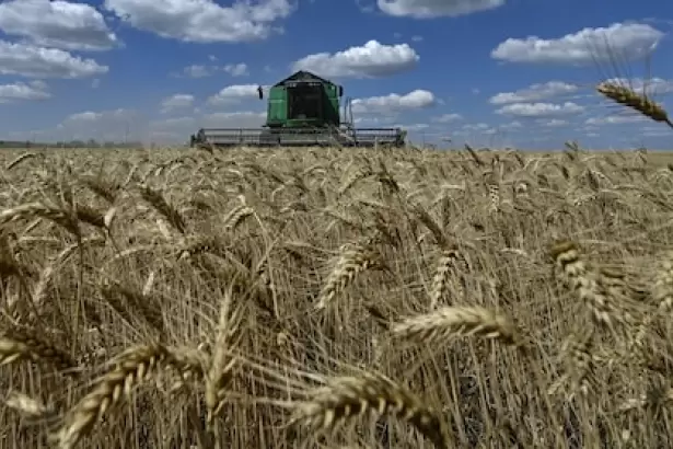 La guerra en Medio Oriente dispara los costos de los fertilizantes y pone en jaque la pr�xima campa�a