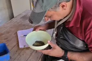 Dengue en Catamarca: nuevo control focal y descacharrado en barrios capitalinos