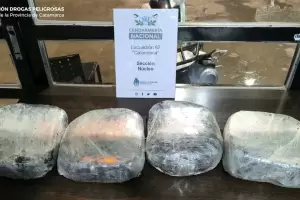 Incautan m�s de 4 kilos de marihuana en un operativo en Valle Viejo