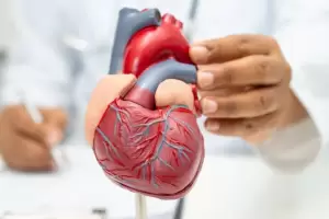 Ni caminar ni bicicleta fija: el ejercicio ideal para fortalecer tu coraz�n y mejorar la circulaci�n