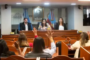 El Senado inici� el per�odo extraordinario con una agenda cargada de reformas