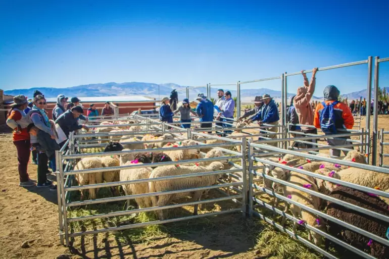 9� edici�n de la Feria Ganadera, Artesanal y Productiva "La Chimpiada"