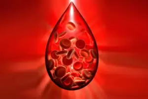 Hemofilia en Argentina: nuevo tratamiento cambia el abordaje en pacientes con inhibidores