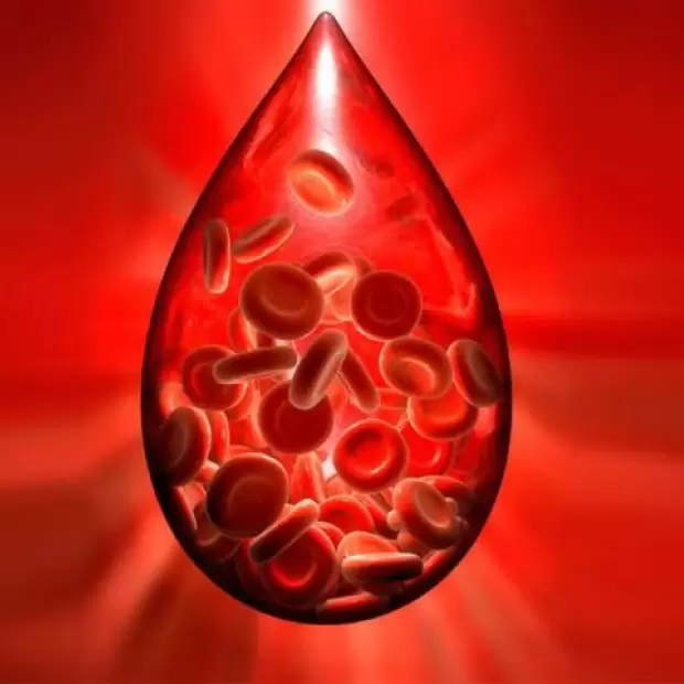 Hemofilia en Argentina: nuevo tratamiento cambia el abordaje en pacientes con inhibidores