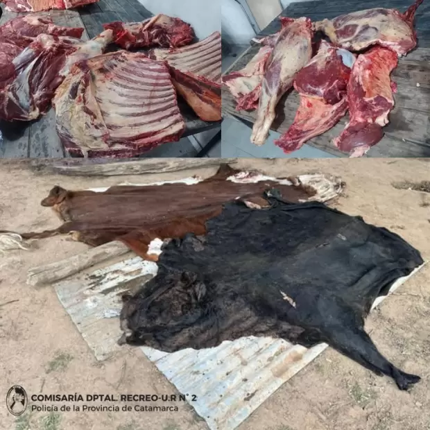 Operativo por abigeato en Catamarca: secuestran 170 kilos de carne y detienen a un hombre