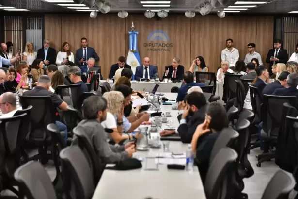 Reforma de la Ley de Glaciares: arranca una audiencia clave con 200 oradores