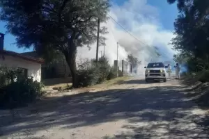 Catamarca: Salud confirm� el primer caso aut�ctono de dengue en Andalgal�