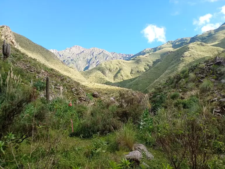 desafio cueva del diablo