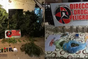 En Catamarca secuestran casi un kilo de marihuana en nuevos allanamientos
