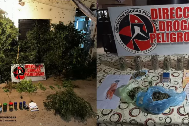 En Catamarca secuestran casi un kilo de marihuana en nuevos allanamientos
