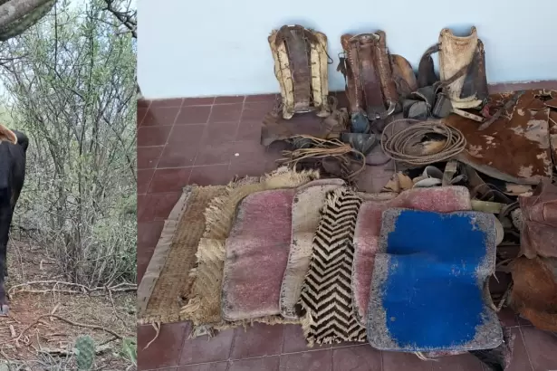 Allanamientos en Catamarca: detienen a dos sospechosos y recuperan ganado sustra�do