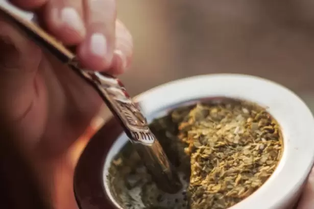 Por qu� cada vez m�s personas mezclan yerba mate con t� verde: los beneficios