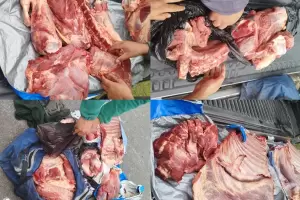 Decomisaron e incineraron 50 kilos de carne en Catamarca