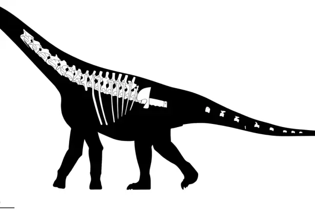 Hallazgo hist�rico: descubren el Bicharracosaurus, una nueva especie de dinosaurio en Argentina