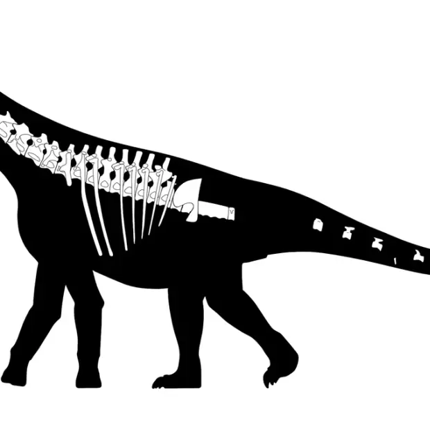 Hallazgo hist�rico: descubren el Bicharracosaurus, una nueva especie de dinosaurio en Argentina