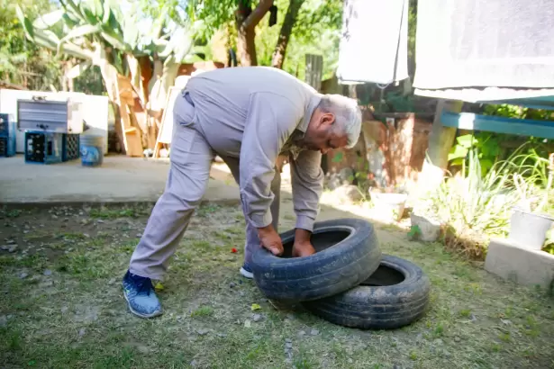 Refuerzan la prevenci�n del dengue: despliegan operativos de control focal