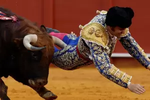 Famoso torero sufri� una terrible cornada durante una corrida: fue operado y est� grav�simo
