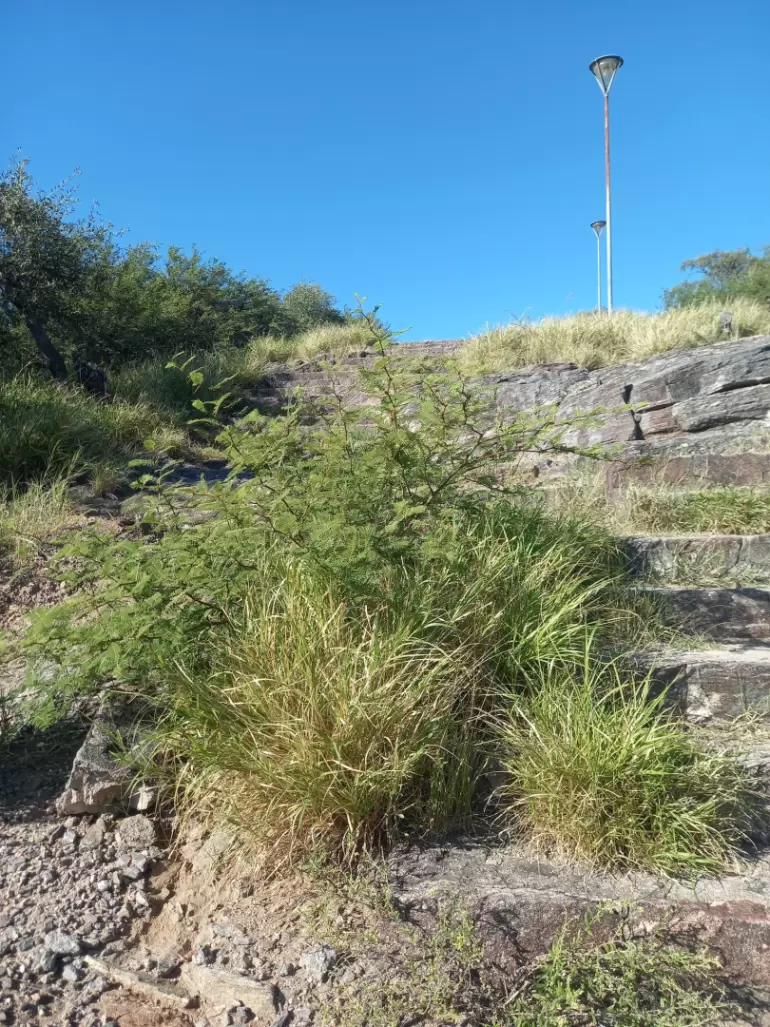 fme monumento a esqui�