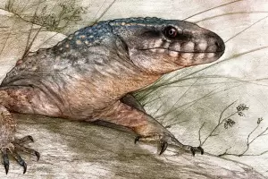 Hallan en la Patagonia un reptil de 70 millones de a�os y lo reconstruyen digitalmente