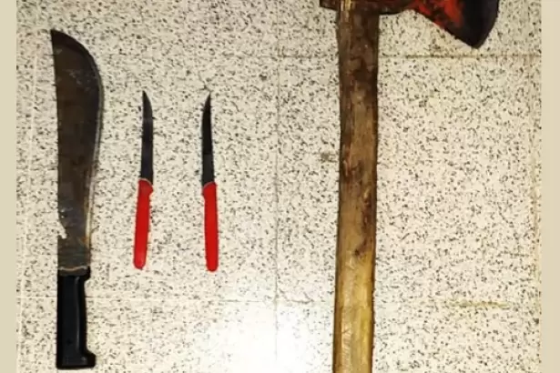 Violento: amenaz� a su pareja con un hacha y fue detenido