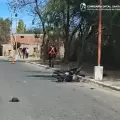 Una joven mam� muri� tras derrapar al intentar esquivar un perro