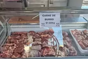 Pol�mica: el Gobierno fustig� a un medio alem�n que habl� del consumo de carne de burro
