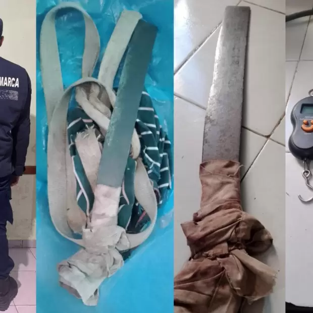 Abigeato en La Paz: un joven arrestado y secuestro de carne y herramientas