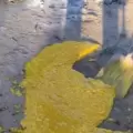 �De terror! Se les cay� el locro y se quedaron sin festejo por el D�a del Trabajador