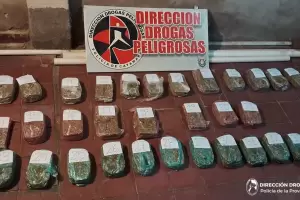 Golpe al narcotr�fico en Catamarca: secuestran casi 18 kilos de marihuana