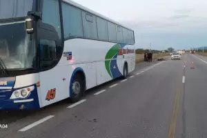 Impactante siniestro en Ruta 38: dos colectivos embistieron a un equino