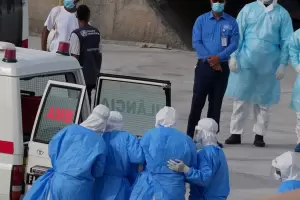 El Gobierno investigar� roedores en Ushuaia tras el brote de hantavirus en el crucero