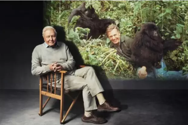 David Attenborough cumple 100 a�os: una vida dedicada a los secretos de la naturaleza