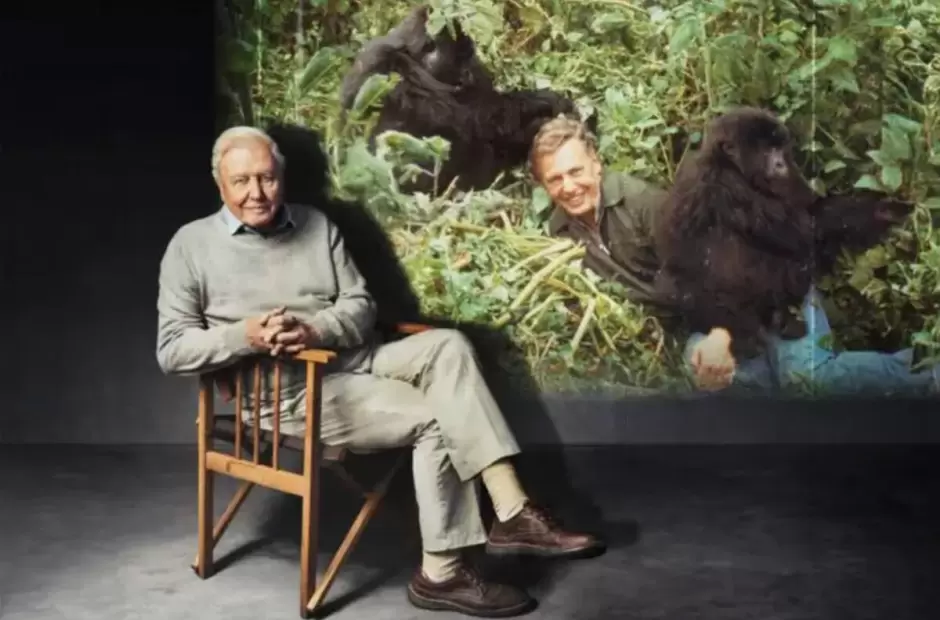 David Attenborough