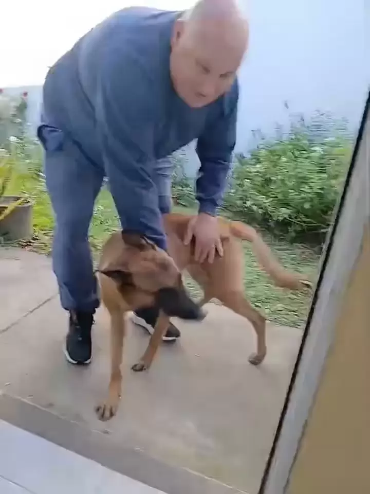 reencuentro mascota viral