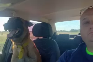 "Me siento feliz": el emotivo reencuentro entre un hombre y su perro perdido que es viral