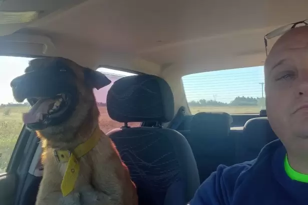 "Me siento feliz": el emotivo reencuentro entre un hombre y su perro perdido que es viral