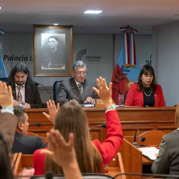 El Senado convirti� en ley el proyecto minero "Diablillos-Plata"