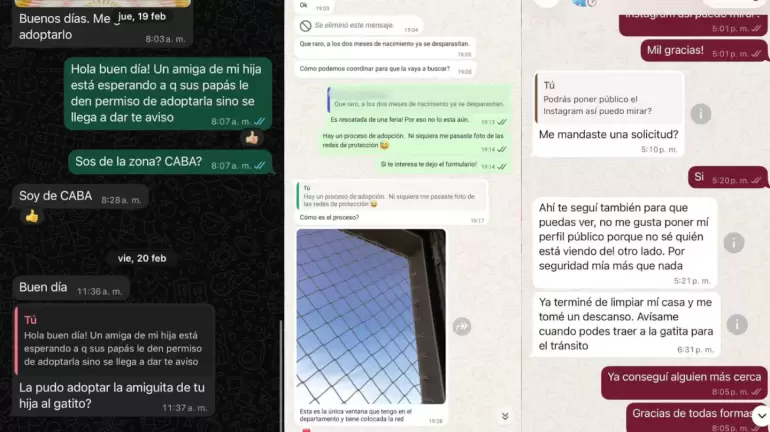 maltrato animal