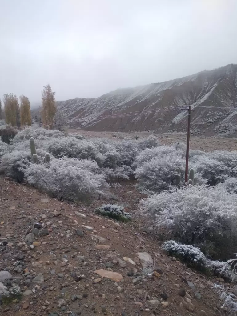 nieve belen