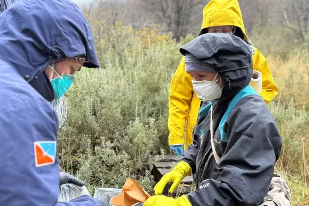 Inquietante: el Malbr�n detect� otras especies de roedores asociadas al hantavirus