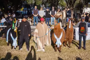 Con gran convocatoria finaliz� la Expo Rural Catamarca 2026