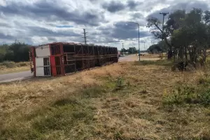 Vuelco de un cami�n con animales vacunos en la Ruta Nacional 64