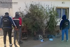 Allanamiento en Catamarca: secuestran casi dos kilos de droga