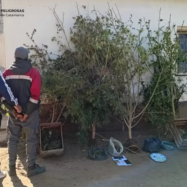 Allanamiento en Catamarca: secuestran casi dos kilos de droga
