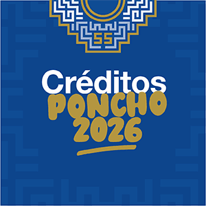 poncho-300-x-300