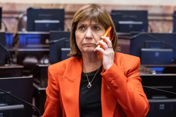 Crisis en Libertad Avanza: fuertes reproches a Bullrich en el Senado por el caso Michelli