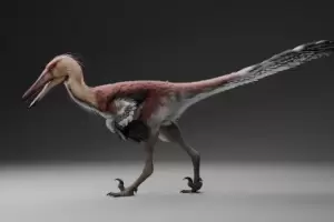 Hist�rico: hallan una nueva especie de dinosaurio raptor en Santa Cruz