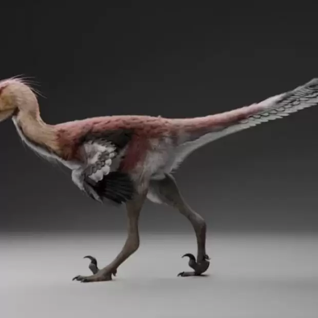 Hist�rico: hallan una nueva especie de dinosaurio raptor en Santa Cruz